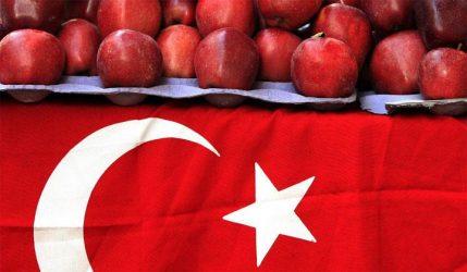 Τα τουρκικά φρούτα και λαχανικά αντιμετωπίζουν ολική απαγόρευση στη Ρωσία