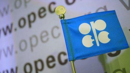 ΟΠΕΚ: “Ανεπίσημη” τηλεδιάσκεψη για την κατάσταση που διαμορφώνεται στην αγορά πετρελαίου