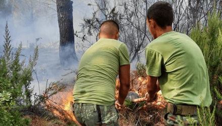 Τα Βαλκάνια δοκιμάζονται από τις φωτιές – Ένας νεκρός στην Αλβανία