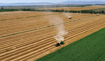 Η Κίνα θα προσπαθήσει να γίνει λύση στην κρίση των σιτηρών;