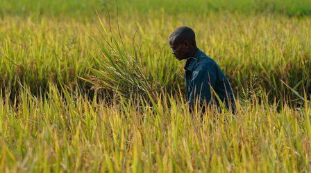 Ηγέτες χωρών της Αφρικής ζητούν να αρθούν τα εμπόδια για τις εξαγωγές σιτηρών και λιπασμάτων της Ρωσίας