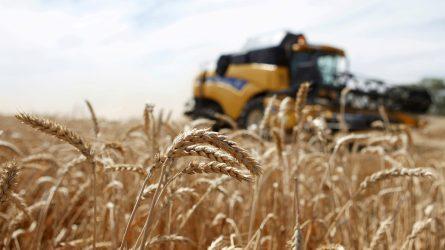 Η ΕΕ συμφώνησε να παρατείνει τις εισαγωγές ουκρανικών γεωργικών προϊόντων χωρίς δασμούς με κάποιους περιορισμούς